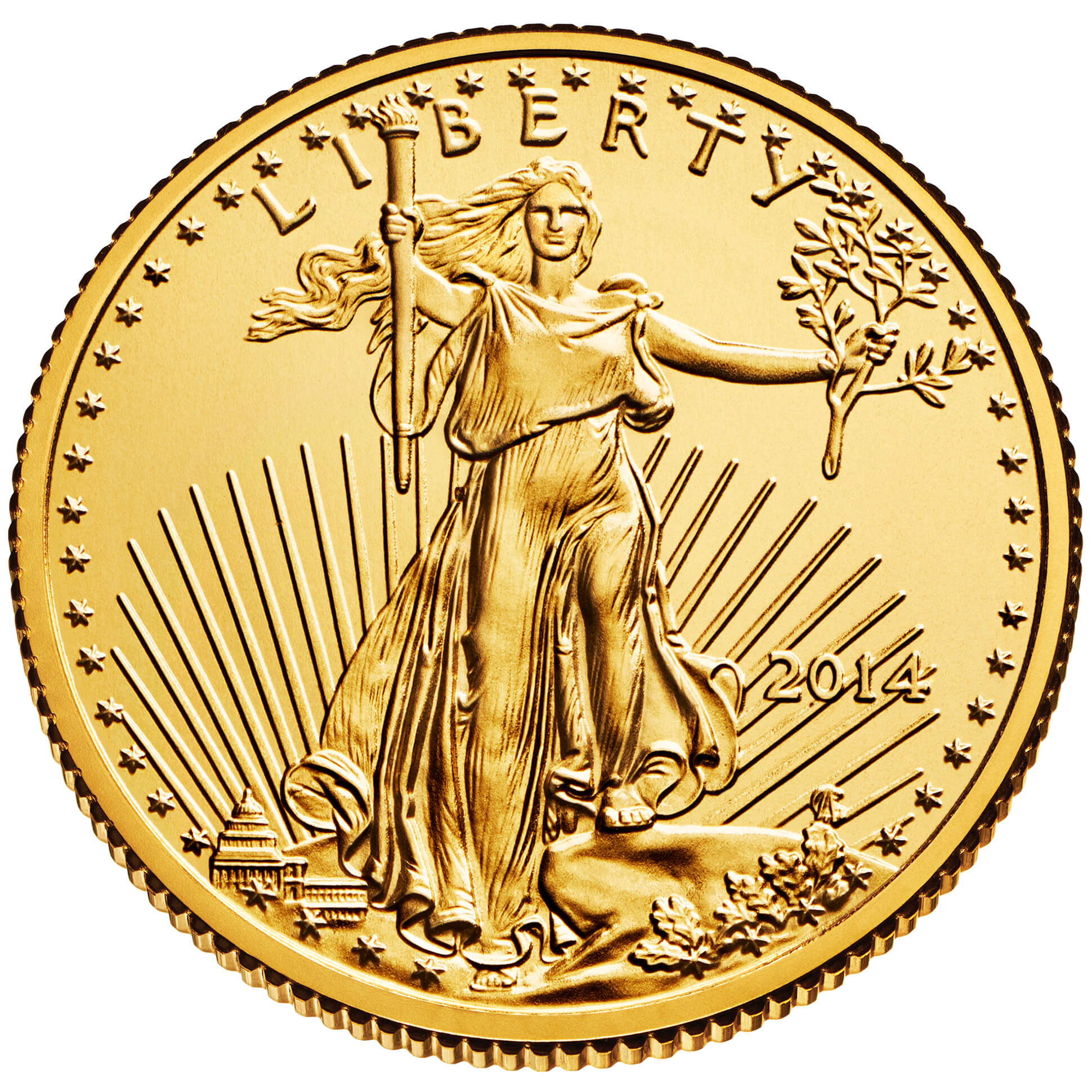 US 5 Dollars 2014 no mintmark