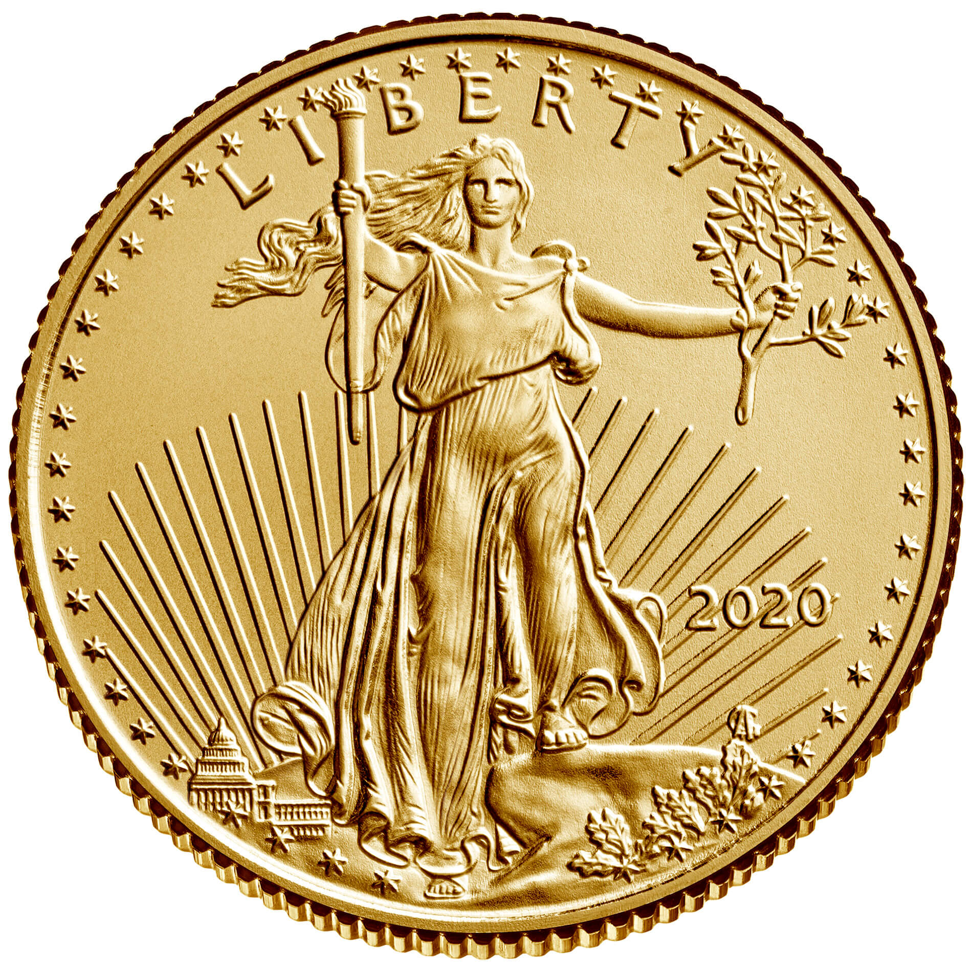 US 25 Dollars 2020 no mintmark