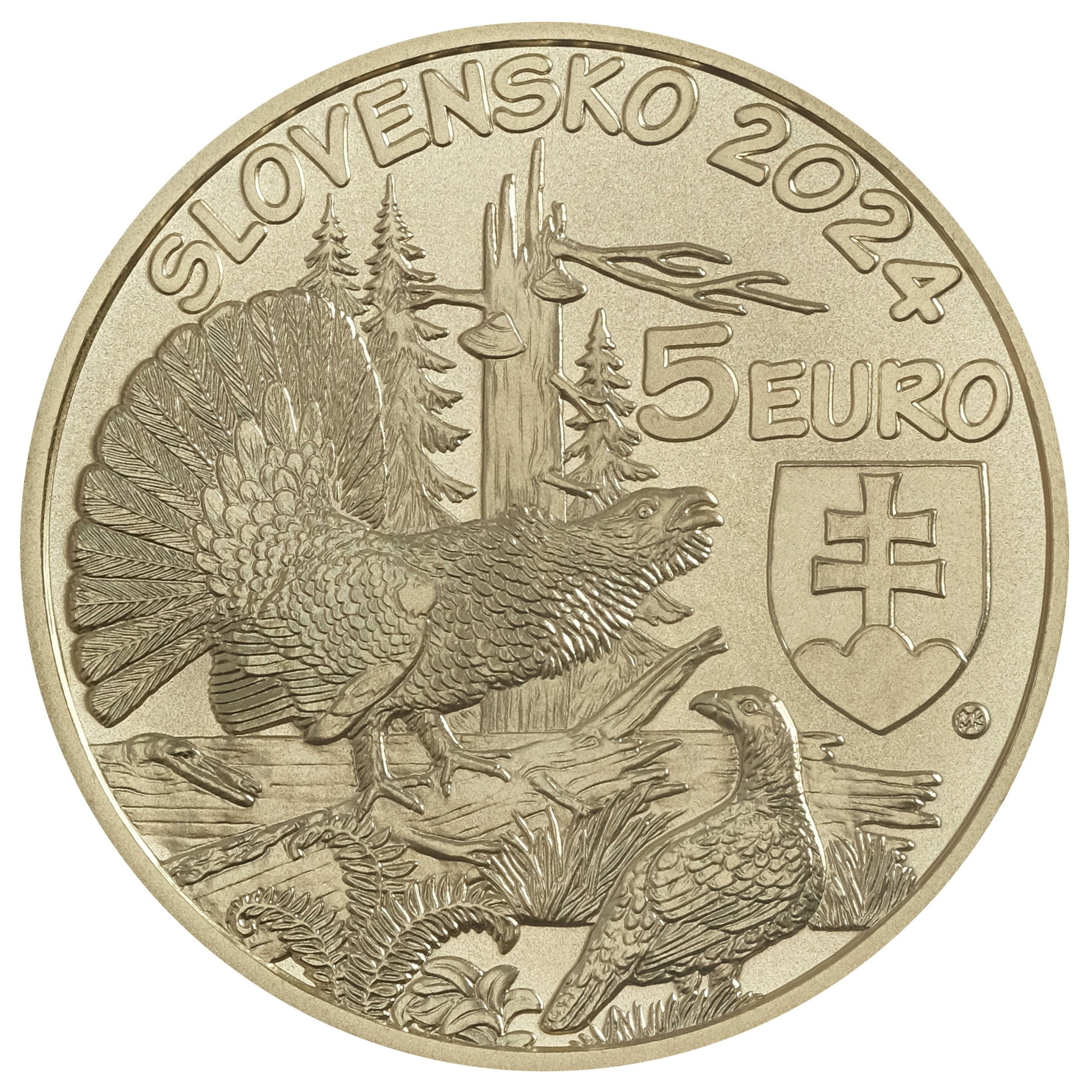 SK 5 Euro 2024 MK